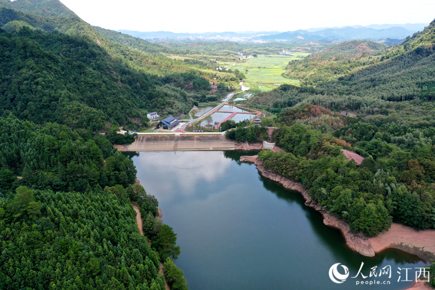 宜黃縣龍和水庫的蓄水成為當前水稻等農作物的“救命水”。 人民網 時雨攝