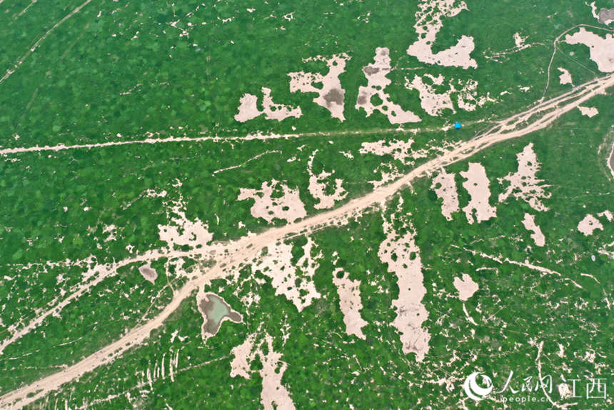 鄱陽湖干旱實拍。 人民網 時雨攝