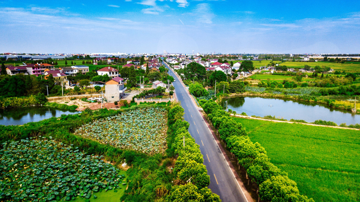 黨建引領，南昌縣岡上鎮農業強，農民富，農村美。葉菲攝