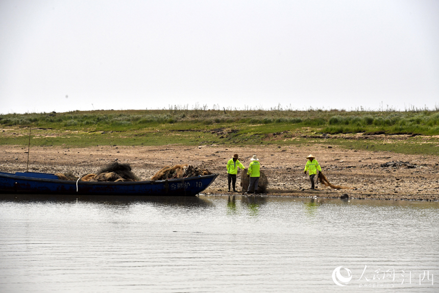 漁政工作人員和志愿者在鄱陽湖清理廢棄的漁具。 人民網 時雨攝
