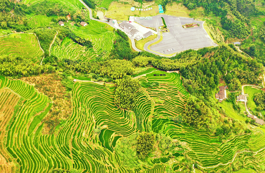 上堡梯田如鏈似帶。曾劉洲攝
