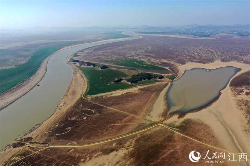 鄱陽湖主航道的湖水正通過引水渠引向碟形湖。 人民網 時雨攝