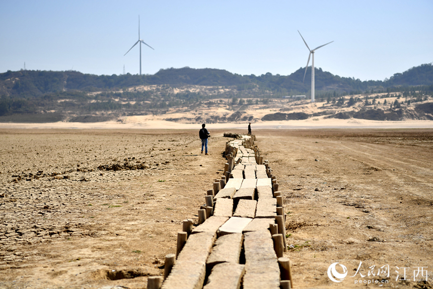 鄱陽湖水位持續走低，湖底的千眼古橋露出真容。 人民網 時雨攝