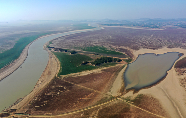 碟形湖引水 讓候鳥“站住腳、吃得飽”