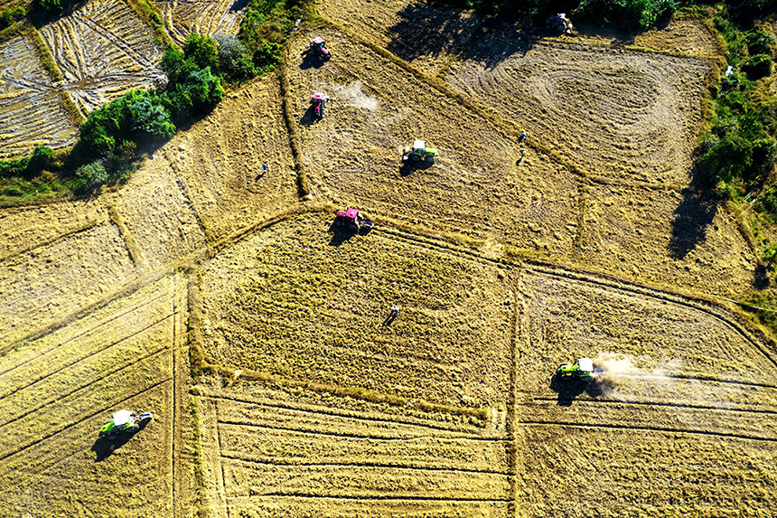 農戶駕駛著旋耕機在田里進行翻耕作業。吳志貴攝