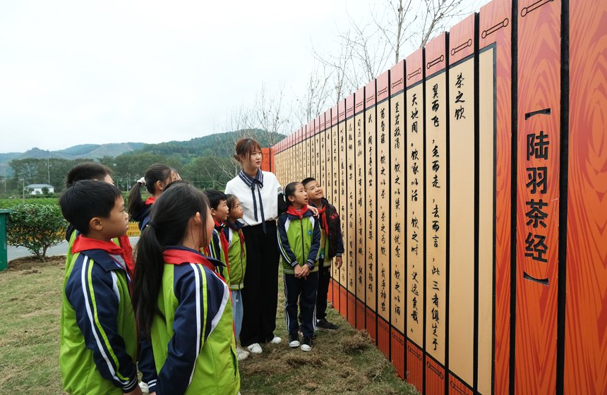 師生們誦讀茶經。李書哲攝