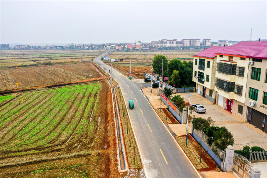 快遞員駕駛著快遞車行駛在鄉間道路上。周亮攝