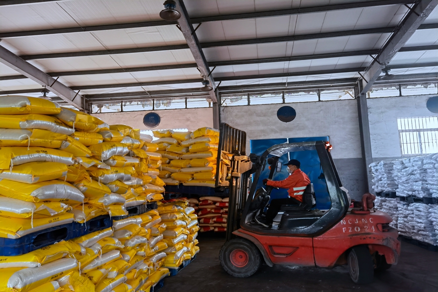 中國鐵路南昌局集團有限公司福州車務段叉車司機正在對到達的大米集中卸貨，王勇富攝