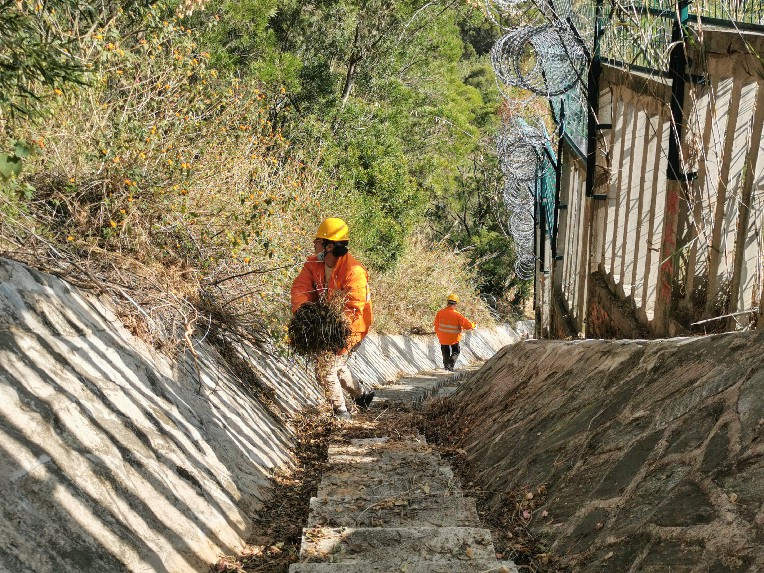 作業人員清除排水設施中的雜物。陳大鋒攝