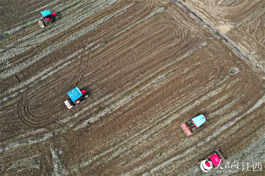 在江西省豐城市的農田里，“鐵?！贝┧?，為春播做好準備。 人民網 時雨攝