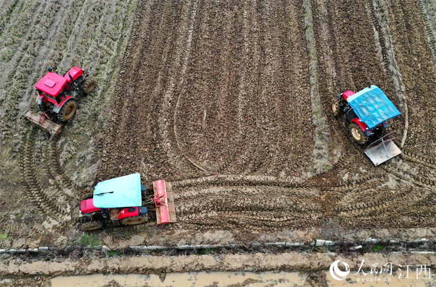 在江西省豐城市的農田里，“鐵?！贝┧?，為春播做好準備。 人民網 時雨攝