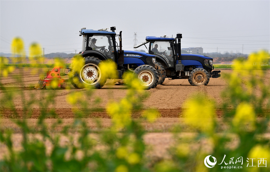 在江西省豐城市的農田里，“鐵?！贝┧?，為春播做好準備。 人民網 時雨攝