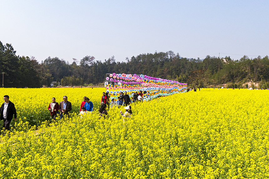 游人賞花觀景，盡享美好春光。詹繼成攝