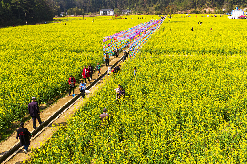 游人賞花觀景，盡享美好春光。詹繼成攝