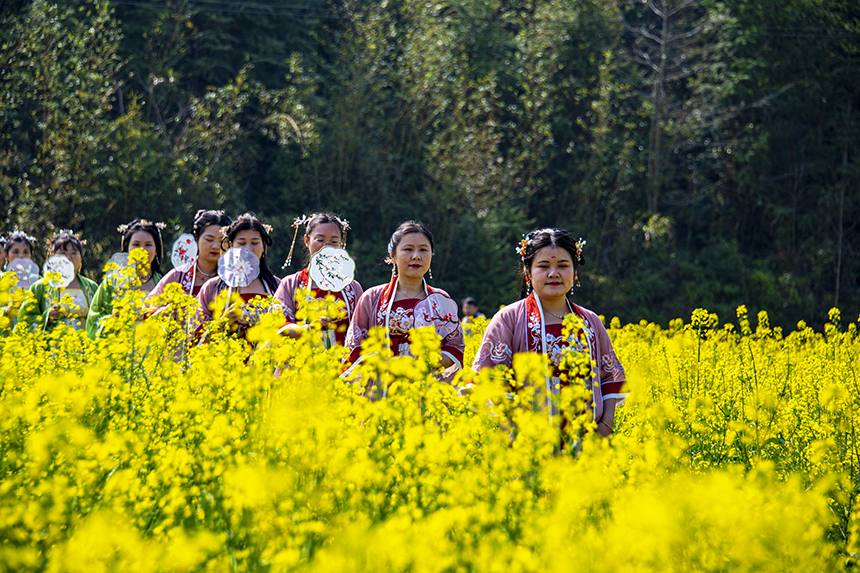 游人賞花觀景，盡享美好春光。詹繼成攝