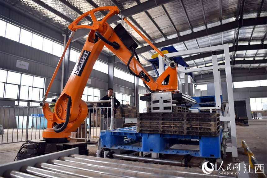 在南昌縣大田農社，水稻精量播種流水線上機械臂正自動抓取秧盤。 人民網 時雨攝