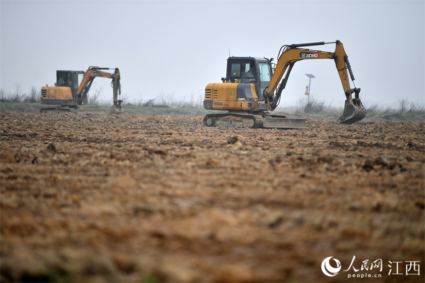 南昌縣大田農社的高標準農田里，機械正在整田準備春播。 人民網 時雨攝