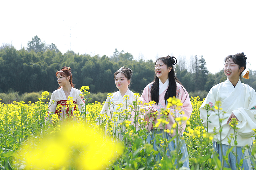 游客前來踏青賞花。潘成攝