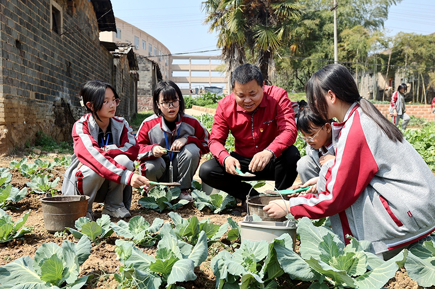 同學們正在開展勞動實踐體驗活動。何江華攝