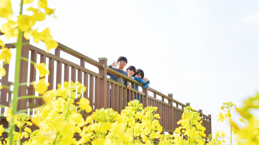 孩子們置身花海，感受春日美景。黃晨星攝