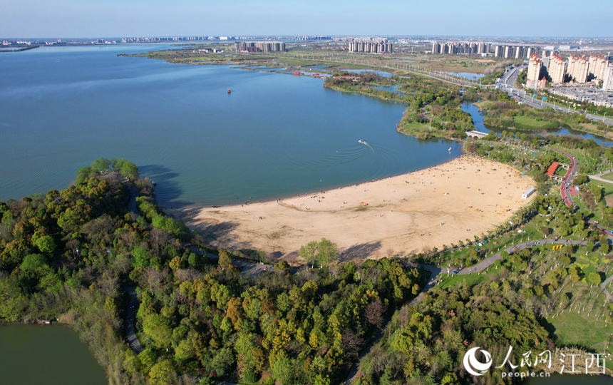 航拍江西省南昌市瑤湖森林公園綠意盎然。人民網 毛思遠攝