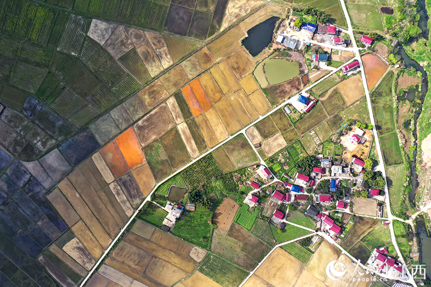 待春播的水田在陽光下波光粼粼。 人民網 時雨攝