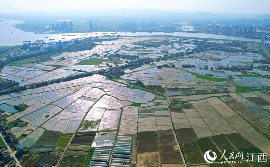 阡陌縱橫、黃綠相間，猶如一個巨大的調色盤，在陽光的映襯下，色彩斑斕。人民網 毛思遠攝