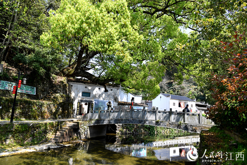 江西省景德鎮市浮梁縣江村鄉嚴臺村風貌。 人民網 時雨攝