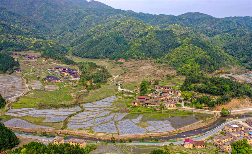 航拍樂安縣谷崗鄉何坑村，猶如一幅美麗的生態畫卷。黃煜攝