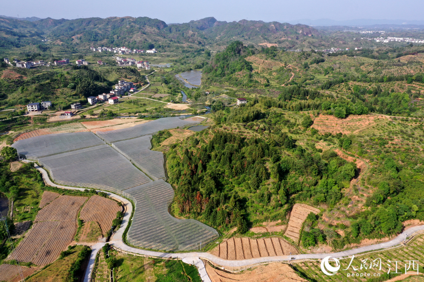 江西省南豐縣三溪鄉柏蒼村軍峰山下的田園綜合體風光優美。 人民網 時雨攝