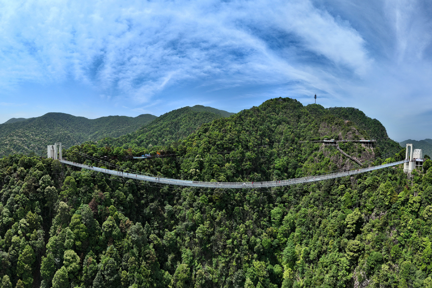 游客行走在玻璃橋上觀賞漫山綠色生態美景。朱海鵬攝