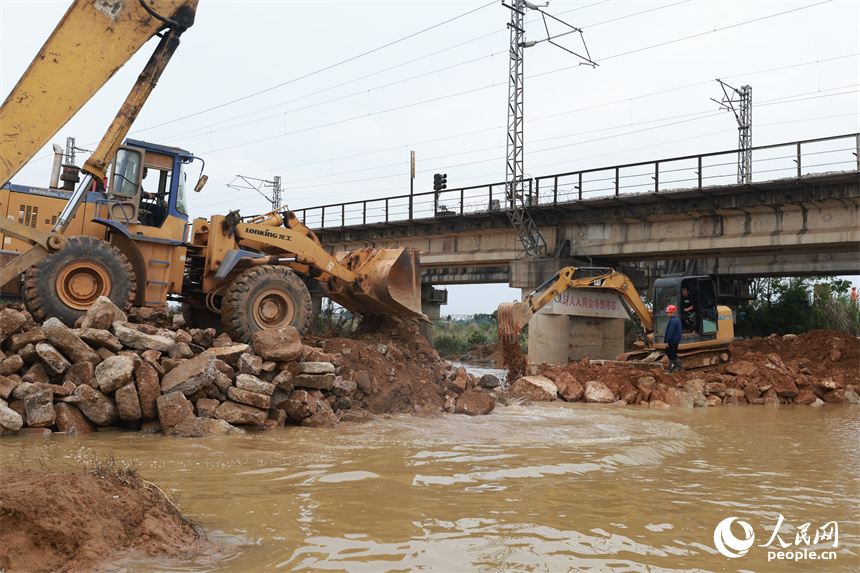 豐城市麗村鎮清豐堤潰口順利合龍。 人民網記者 時雨攝