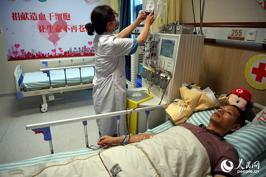 醫護人員正在密切關注造血干細胞的采集情況。 人民網記者 時雨攝
