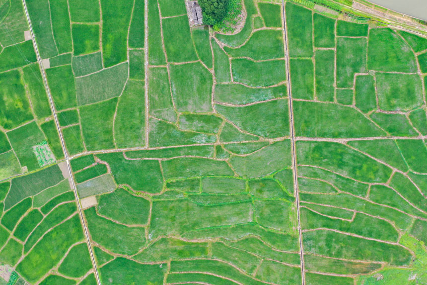 美麗的田園畫卷。李凡欽攝