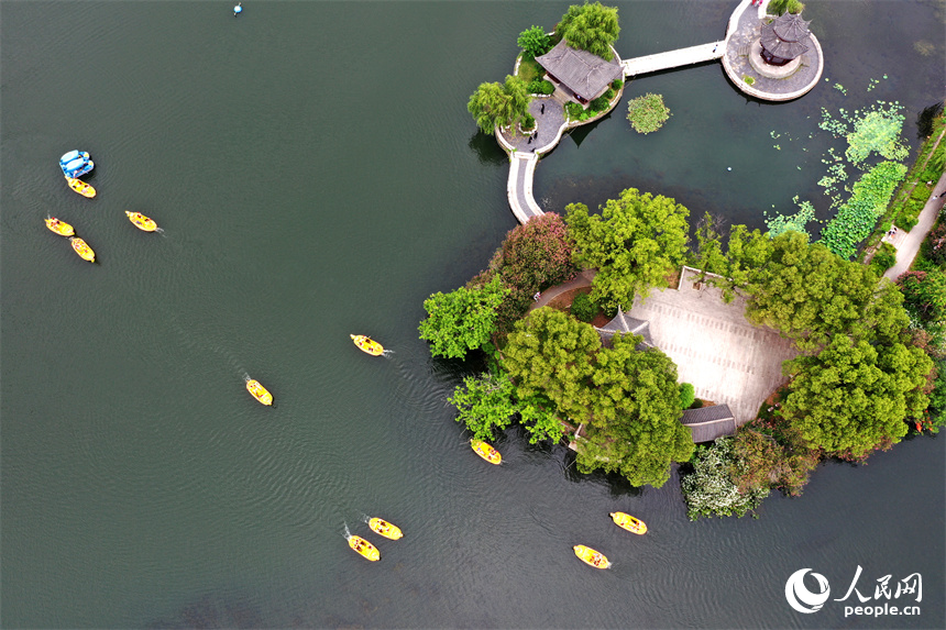 南昌市東湖區百花洲東湖正在舉行親子龍舟賽。 人民網記者 時雨攝