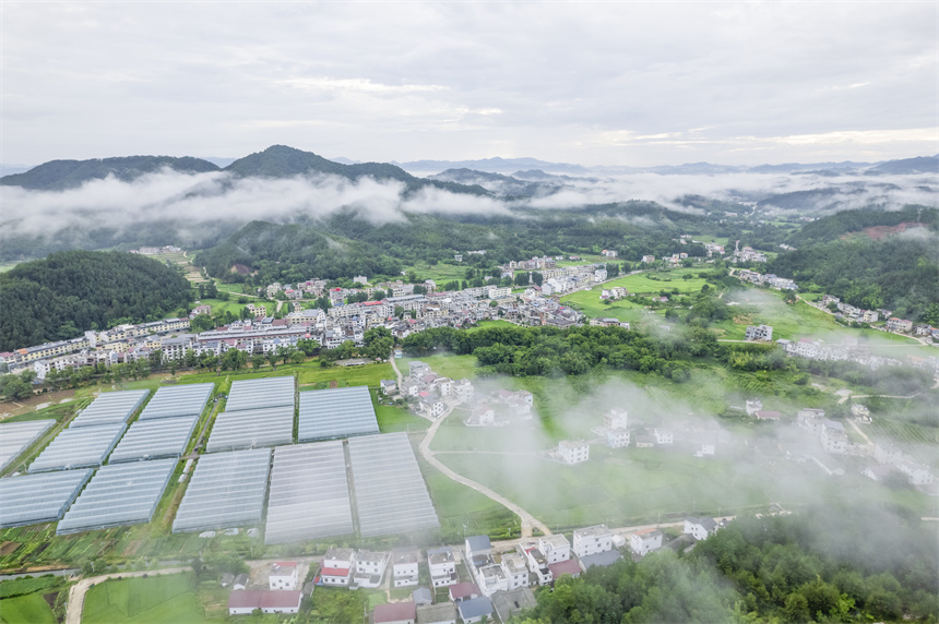 6月8日，群山環抱、云霧繚繞下的江西省贛州市信豐縣大橋鎮風景如畫。張元兵攝