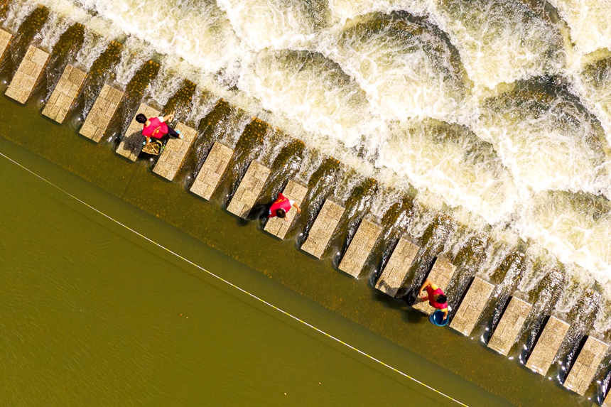黨員志愿者在巡河清理河道。詹繼成攝
