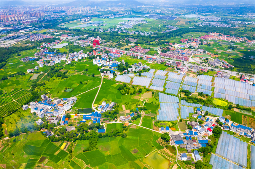 航拍葉坪鎮山歧村美麗鄉村景色。楊鑫攝