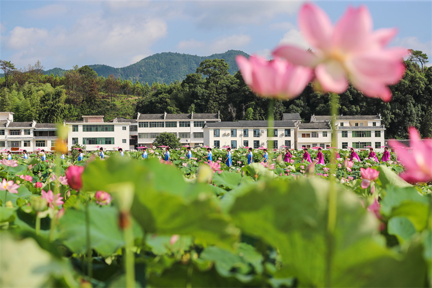 旗袍愛好者正在驛前古鎮進行旗袍走秀表演。 程孟玲攝