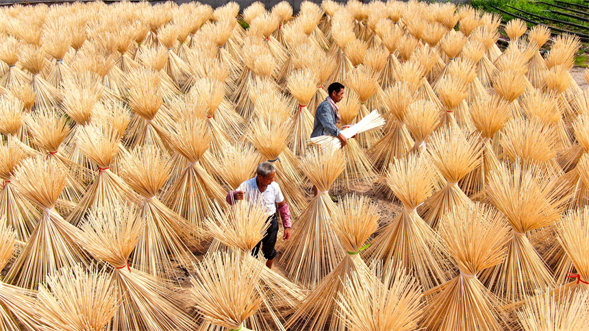 工人正在晾曬毛竹半成品。詹繼成攝