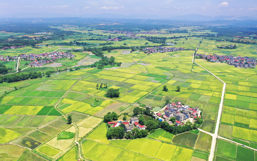 無人機鏡頭下的上高縣泗溪鎮官橋村美麗田園風光。陳旗海攝