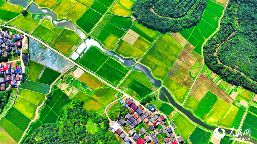 航拍豐城市石灘鎮裴家村，風景秀美如畫。人民網 朱海鵬攝