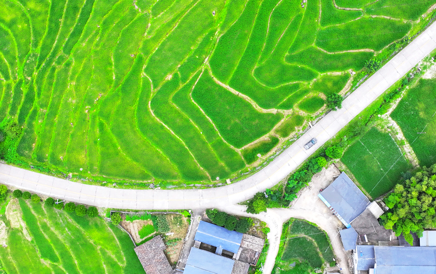 航拍宜豐縣黃墾鎮、潭山鎮、天寶鄉一帶，稻田、樓房、河道相映成景，宛如畫卷。何賤來攝