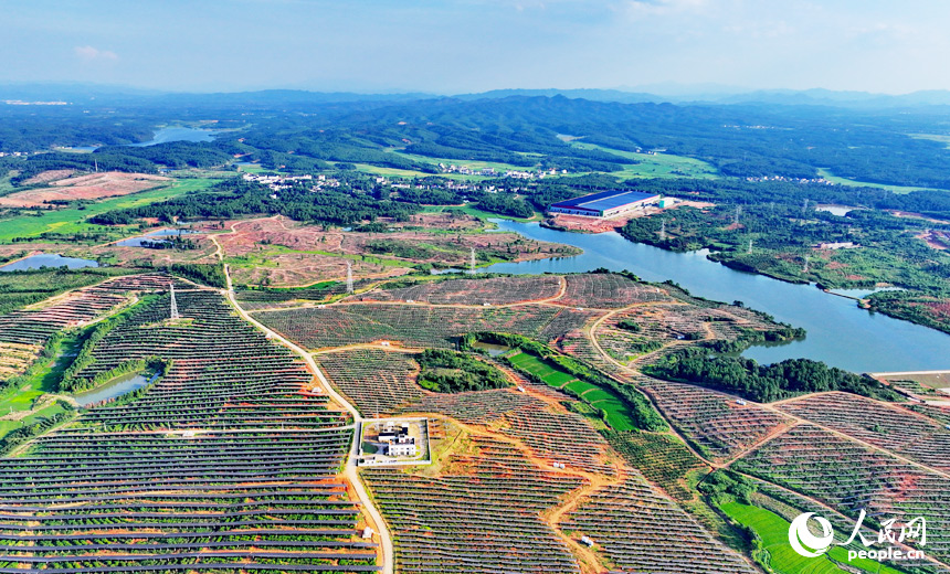崇仁縣農光互補發電站，連片的太陽能發電板如同藍色海洋，熠熠生輝。人民網 朱海鵬攝