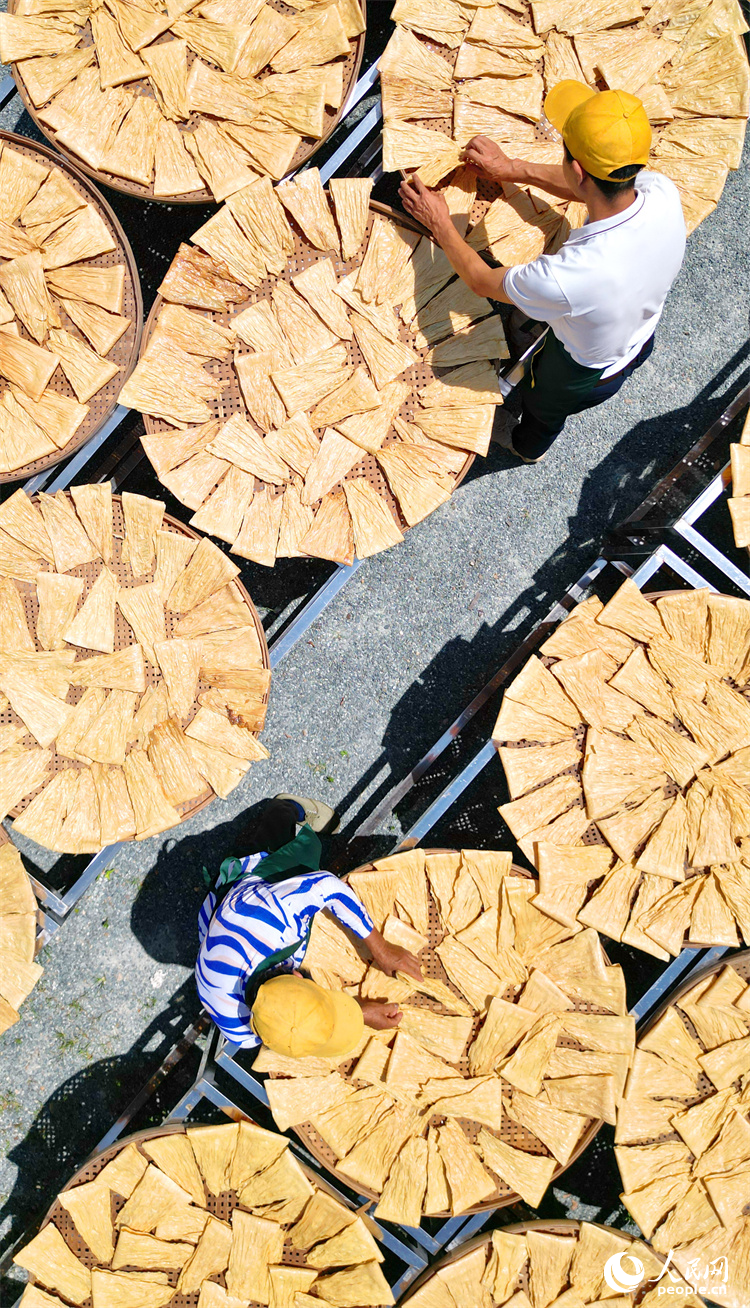 村民忙著晾曬手工腐竹。人民網 朱海鵬攝