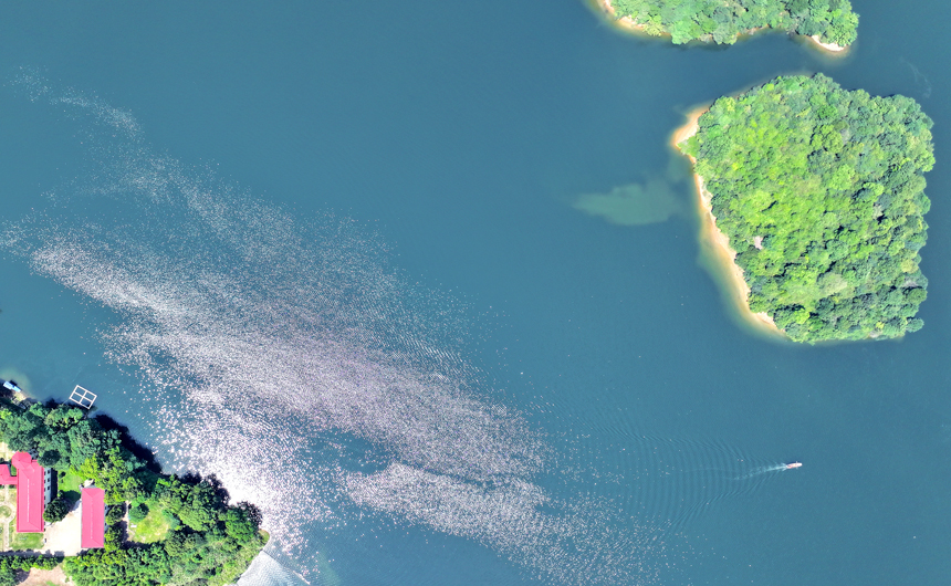 航拍淵明湖國家級水利風景區，巡湖船只與旖旎湖水、樹木蔥郁的小島相映成景。何賤來攝