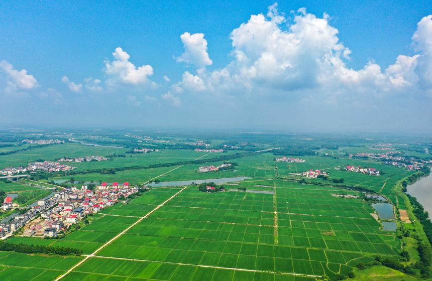 近日，無人機鏡頭下上高縣錦江鎮新華村美麗的鄉村景色。陳旗海攝