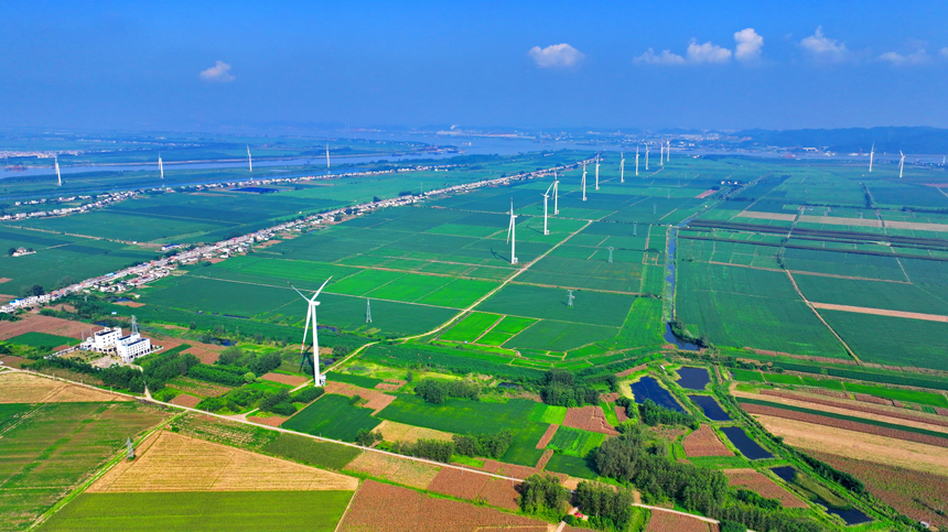 九江市柴桑區江洲風電場，48臺風力發電機組迎風旋轉。人民網 朱海鵬攝