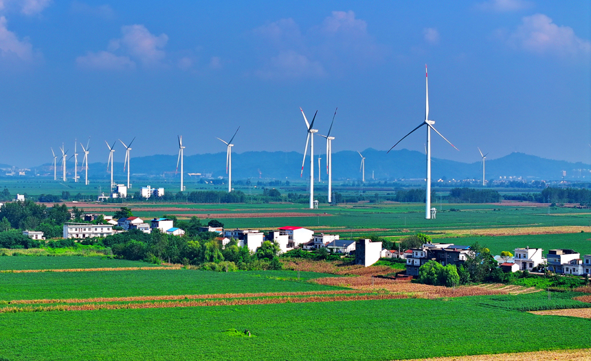 江西九江；風葉迎風轉 綠電源源來 (9)