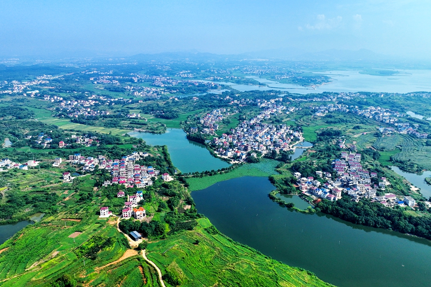 航拍鏡頭下的江西共青城市蘇家垱鄉，美景如畫。潘成攝